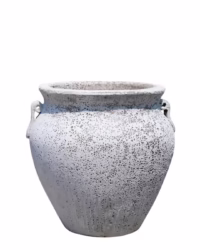 SH242-WH FELIX ATLANTIS - LIMITED STOCK